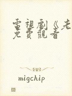 电视剧《老舅》免费观看