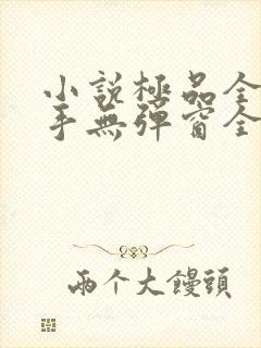 小说极品全能高手无弹窗全文免费阅读