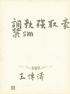 调教强取豪夺囚禁sm封面