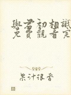 与君初相识短剧免费观看完整版高清