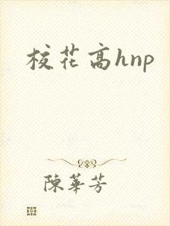 校花高hnp封面