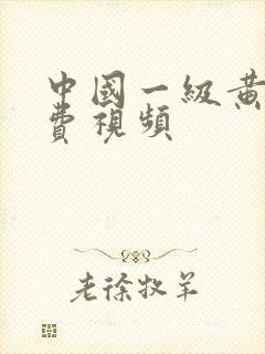 中国一级黄片免费视频