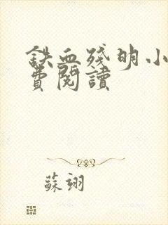 铁血残明小说免费阅读