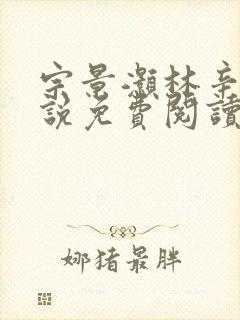宗景灏林辛言小说免费阅读大结局封面