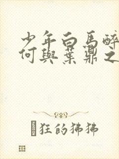 少年白马醉春风何与叶鼎之封面