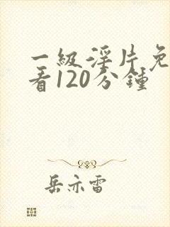 一级淫片免费试看120分钟