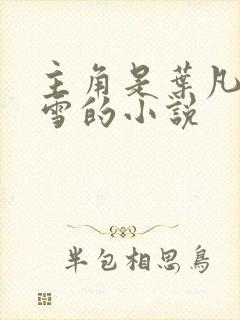 主角是叶凡唐若雪的小说