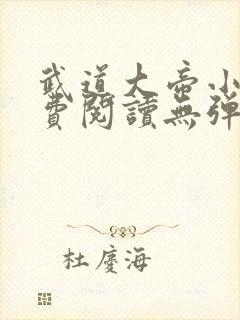 武道大帝小说免费阅读无弹窗