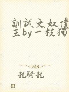 训诫文奴仆双男主by一枝独秀