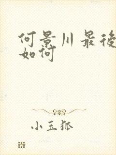 何景川最后结局如何封面