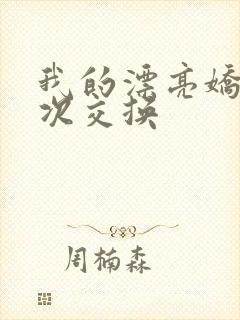 我的漂亮娇妻初次交换