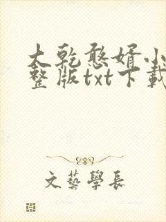 大乾憨婿小说完整版txt下载