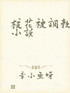校花被调教高h小说封面