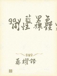 gay 蓝男色 同性 裸体男模