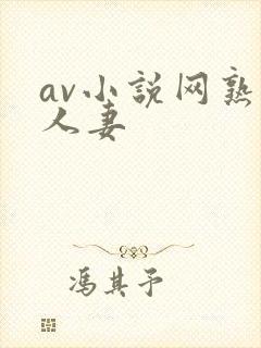 av小说网熟女人妻