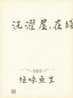 洗濯屋,在线