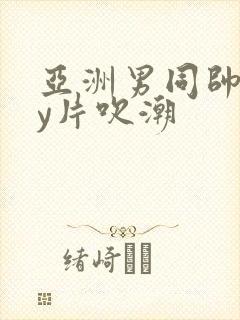 亚洲男同帅gay片吹潮封面