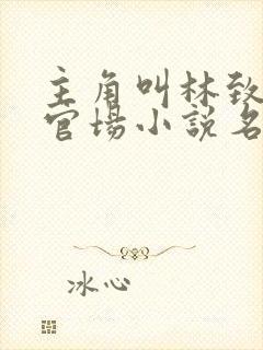 主角叫林致远的官场小说名字
