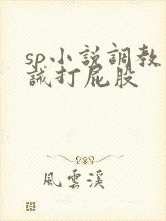 sp小说调教训诫打屁股