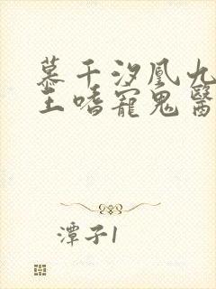 慕千汐凰九夜邪王嗜宠鬼医狂妃无弹窗