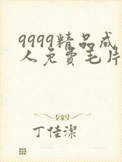 9999精品成人免费毛片在线看