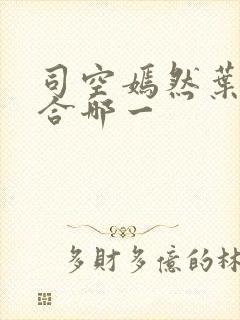 司空嫣然叶凡结合哪一