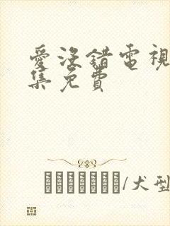 爱没错电视剧全集免费