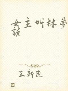 女主叫林梦的小说
