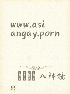 www.asiangay.porn