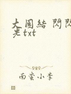 大团结 闪闪发光txt