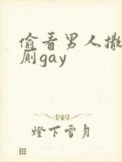 偷看男人撒尿公厕gay封面