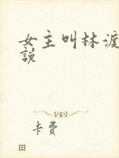 女主叫林渡的小说