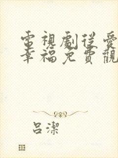 电视剧从爱情到幸福免费观看全集封面