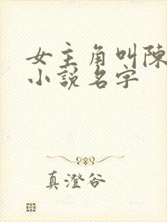 女主角叫陈念的小说名字封面