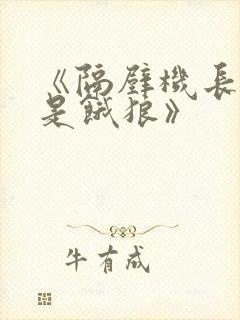 《隔壁机长大叔是饿狼》