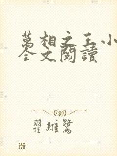 万相之王小说 全文阅读
