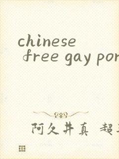 chinese free gay porn