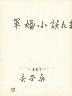 军婚小说h推荐