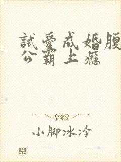 试爱成婚腹黑老公霸上瘾