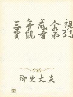 三年成全视频免费观看第3集