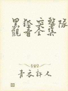 黑狐突击队免费观看全集