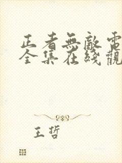 正者无敌电视剧全集在线观看免费