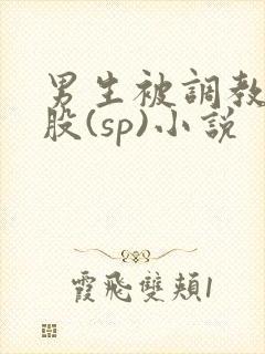 男生被调教打屁股(sp)小说封面
