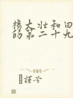 杨大壮和田桂花的第二十九封面