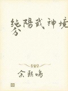 纯阳武神境界划分