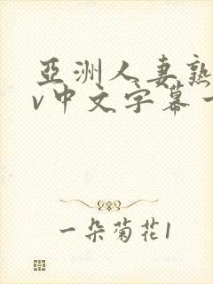 亚洲人妻熟女av中文字幕一区二三区在线