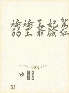 娇娇王妃驾到撩的王爷脸红心跳小说在线播放封面