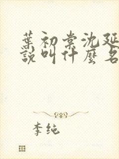 叶初棠沈延川小说叫什么名字