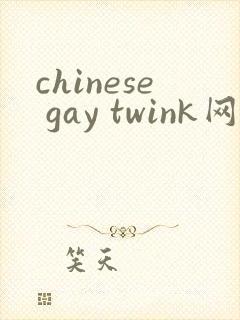chinese gay twink网站封面