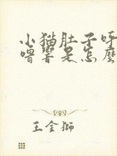 小猫肚子呼噜呼噜响是怎么回事